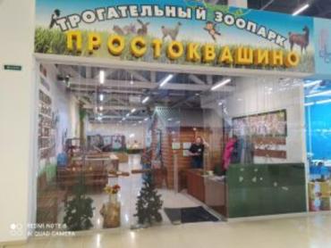 Фото В Магнитогорске предприниматель без лицензии использовал животных в культурно-зрелищных целях