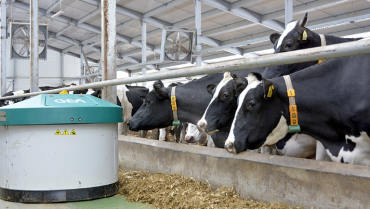 Фото Южный Урал добился рекордной для региона молочной продуктивности