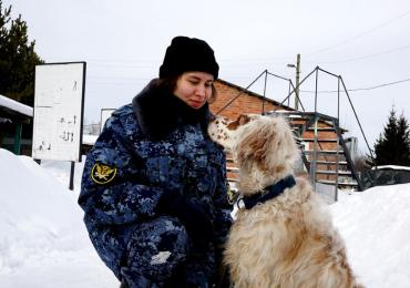 Фото Добрые дома и сосредоточенные на службе: истории собак-кинологов ГУФСИН
