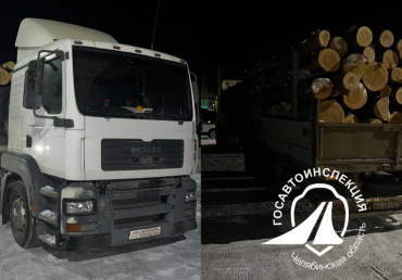 Фото В Челябинской области задержан водитель грузовика, перевозивший лес без документов