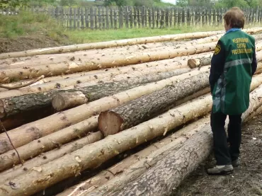 Фото За три месяца из Челябинской области за рубеж вывезли 1,9 тысячи кубометров леса