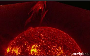 Фото На Солнце произошёл выброс гигантского протуберанца, похожего на фантастическое существо