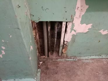 Фото Вонь и разбитые ступени: в Челябинске жильцы дома на Танкистов с ужасом ждут наступления лета