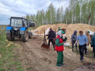 Фото Промышленные сады Челябинской области открывают сезон высадки саженцев