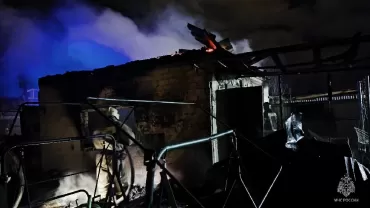 Фото В Челябинске при пожаре в саду пострадали взрослые и дети