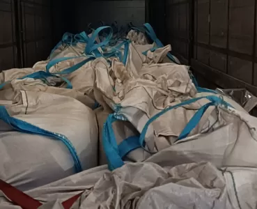 Фото   В Челябинской области запрещён ввоз семян амаранта