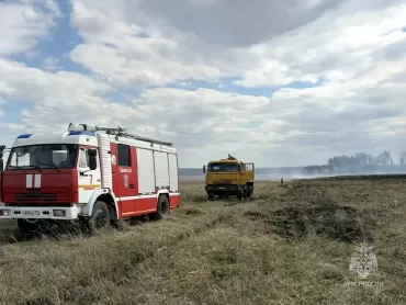 Фото В Сосновском округе вспыхнул сухостой рядом с посёлком