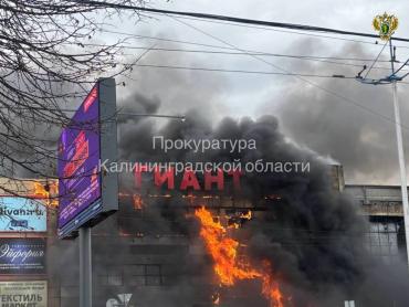 Фото В Калининграде 12 часов тушат крупнейший пожар в ТЦ «Гиант»