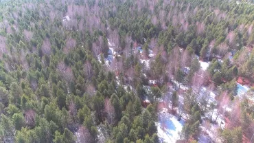 Фото В Челябинской области с помощью БПЛА обследовали сельхозземли