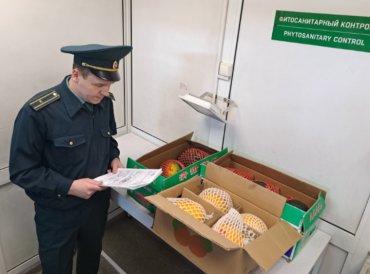Фото В России упростили ввоз товаров из стран ЕАЭС