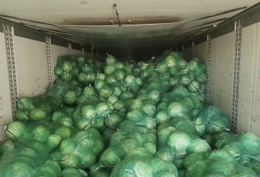 Фото В Челябинской области запретили ввоз казахстанских фруктов и овощей