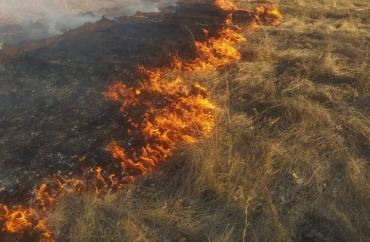 Фото В Челябинской области установлены даты начала пожароопасного сезона