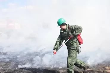 Фото В Еткульском округе вводят особый противопожарный режим и ограничивают въезд в боры 