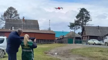 Фото Россельхознадзор использует дроны для контроля учёта скота на Южном Урале