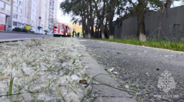 Фото В Челябинской области начался опасный период цветения тополей