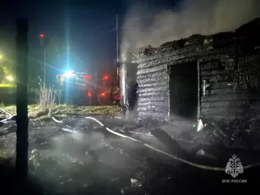 Фото  В ночном пожаре в селе Усть-Багаряк погибли два человека