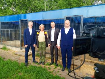Фото Важное дело: депутаты гордумы Челябинска отправили в зону СВО четвероногих поисковиков