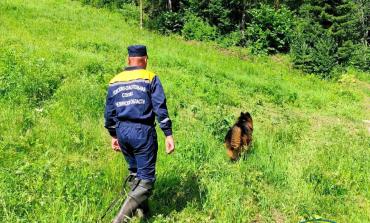 Фото Спасатели отыскали пропавшую в лесах Миньяра пенсионерку