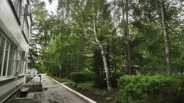 Фото   В детском центре рядом с челябинским лесом поселилась лиса с потомством