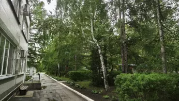 Фото   В детском центре рядом с челябинским лесом поселилась лиса с потомством