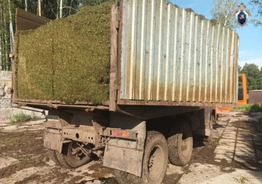 Фото В Аргаяшском районе в суд направлено дело пьяного водителя, сбившего насмерть мужчину при разгрузке