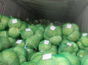 Фото На границе в «Бугристом» проверили тысячи тонн овощей и фруктов