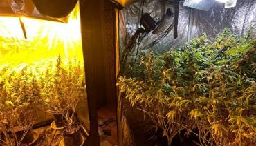 Фото Челябинские полицейские пресекли наркобизнес по продаже марихуаны