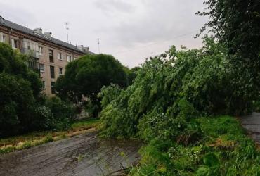 Фото Шторм в Златоусте: последствия стихии и ход восстановительных работ