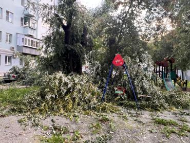 Фото В центре Челябинска дерево рухнуло на автомобиль, задев и детскую площадку