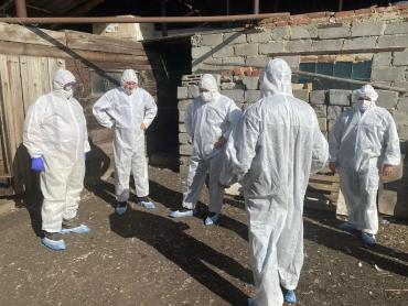 Фото Челябинск готов оперативно реагировать на птичий грипп