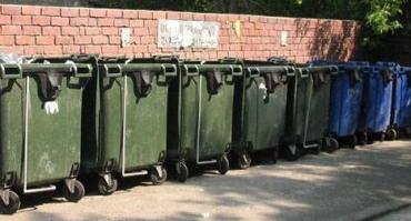 Фото Контейнерную площадку в Челябинске избавили от коровьих голов, шкур и костей 