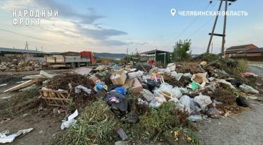 Фото «Крысы размером с кошку»: свалка в Миассе угрожает здоровью жителей