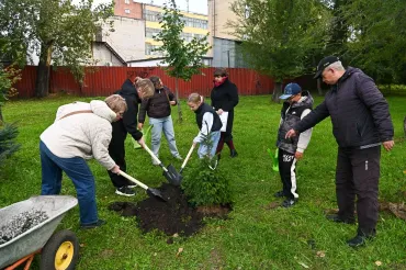Фото  В Челябинске посадили именное дерево в память о Сергее Герасимове
