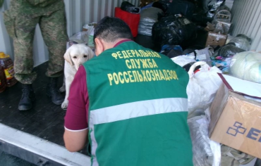 Фото Челябинская область не пустила в страну мёд, курут и жир без документов