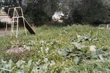 Фото «Быльём поросло»: челябинцы просят освободить от зарослей детскую площадку