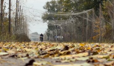 Фото Активная фаза гуманитарной миссии в Алёшках завершена: Как всё прошло и что дальше (видео)