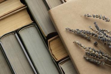 Фото От уютных историй до мрачной готики: какие книжные предпочтения у челябинцев и что почитать осенью
