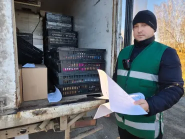 Фото В Челябинской области выявили партию мороженого без документов