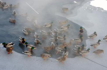 Фото В Челябинской области крещенские морозы задержатся еще и на выходные