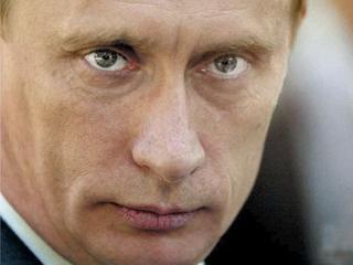 Фото Владимир Путин: Россия должна перерабатывать весь лес Дальнего Востока