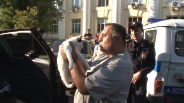 Фото В Челябинске вегетарианцы на неделю закрыли котов в машине для перевоспитания