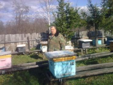 Фото Пчеловода из Сима за «жестокое обращение» с соседями Россельхознадзор наказать не сумел 