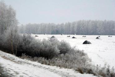 Фото Стражи порядка разыскивают грузовик, сбивший мужчину под Чебаркулем