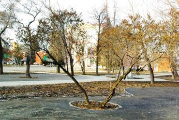 Фото Власти Челябинска изуродовали сквер на Алом поле по программе «Комфортная среда»