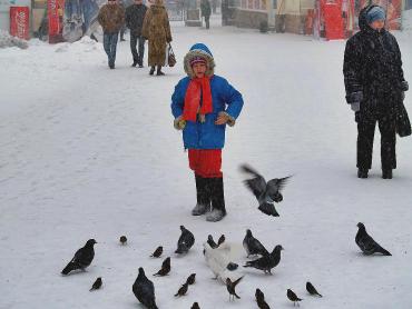 Фото В Челябинской области в пятницу небольшой снег