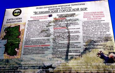 Фото В России планируется разрешить строить автомобильные дороги через лесопарковые «зеленые пояса»