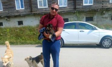 Фото Полицейские Катав-Ивановска спасли тонущего в гудроне щенка