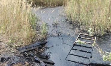 Фото Ликвидировать опасное для жизни болото битума в Троицке будут городские власти