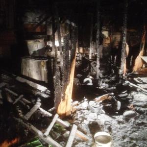 Фото Под Челябинском сгорел приют для животных, погибло несколько собак и щенков
