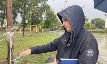 Фото В челябинском парке «Плодушка» погибли почти все высаженные липы